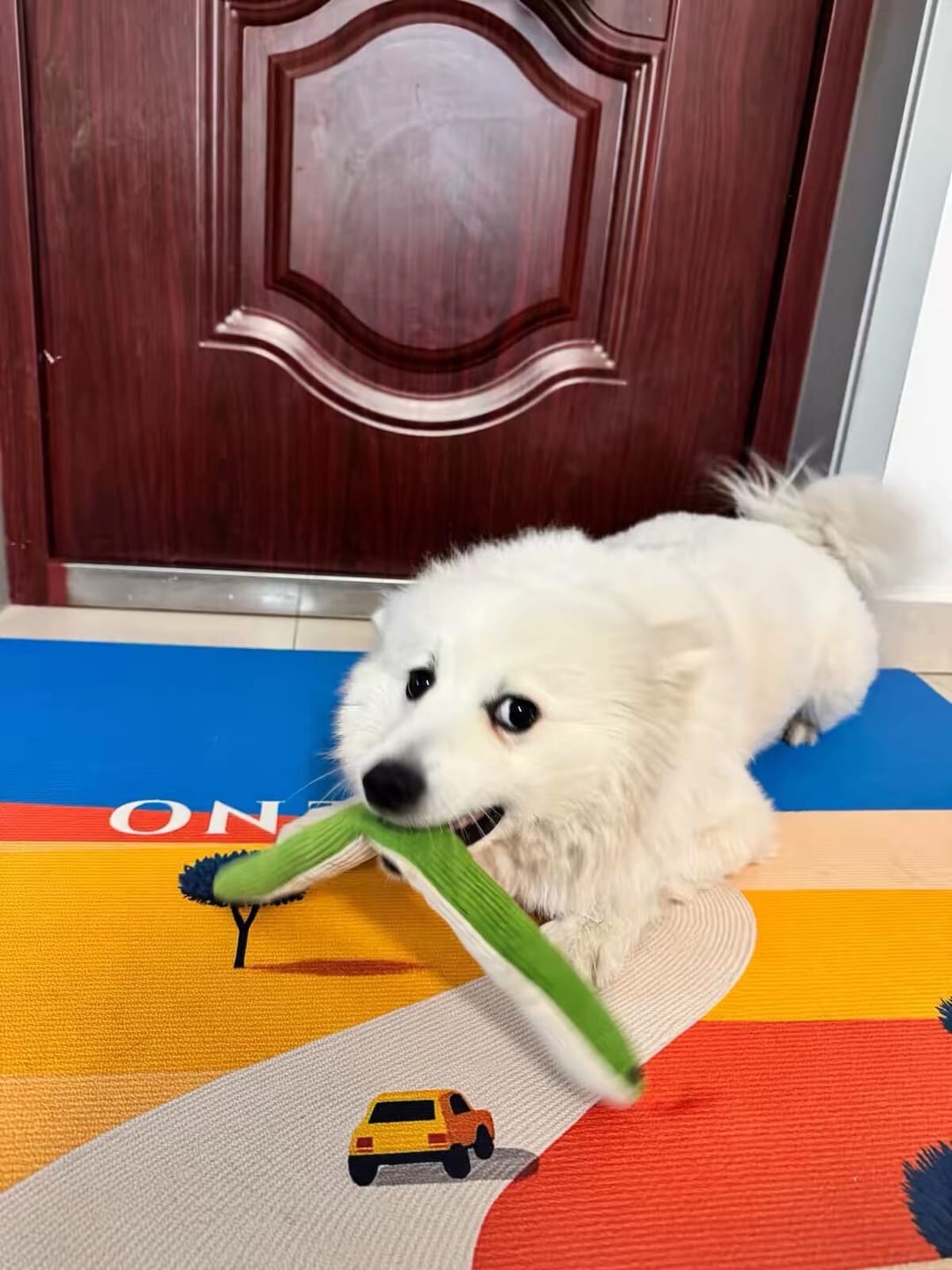 Customer photo review of Calming Snake