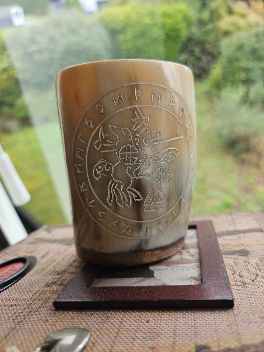 Customer photo review of FREE Viking horn shot ⚡