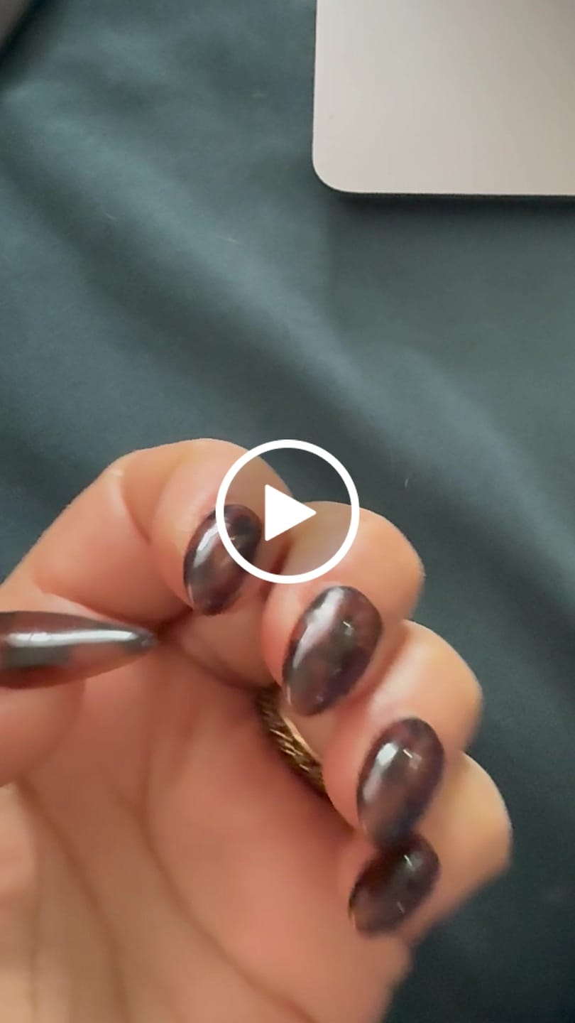 Customer video review of Tortoise