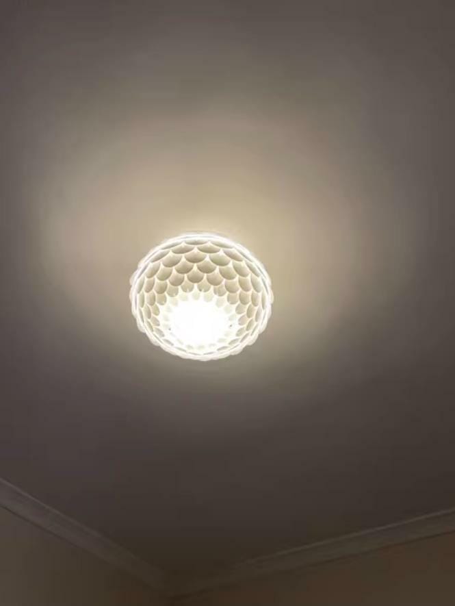 Customer photo review of Fish-Scale Oval Ceiling Light, White Metal Body, Hardwired