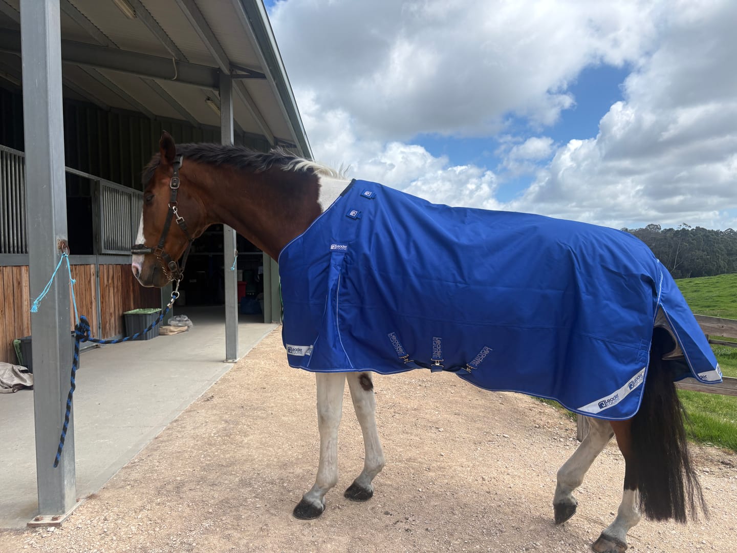 Customer photo review of LE Boxter Turnout 0g
