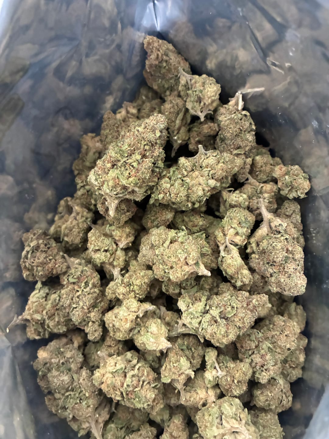 Customer photo review of Big League Choo THCA Flower