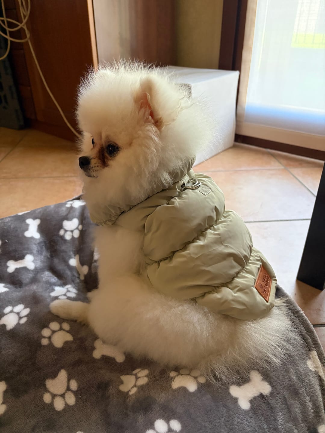 Customer photo review of Sweet Bomber
