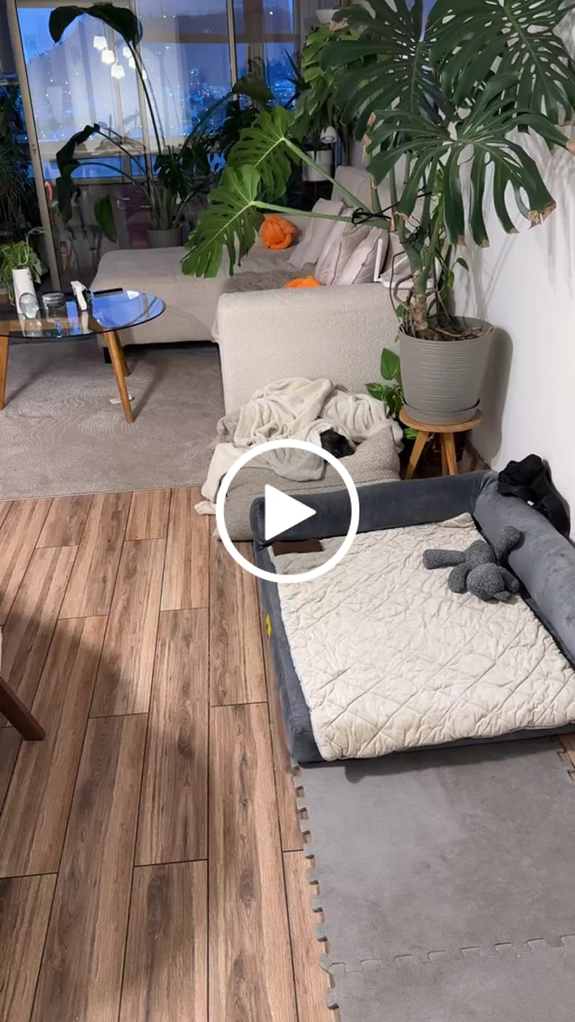 Customer video review of Cama Yoko Arena M