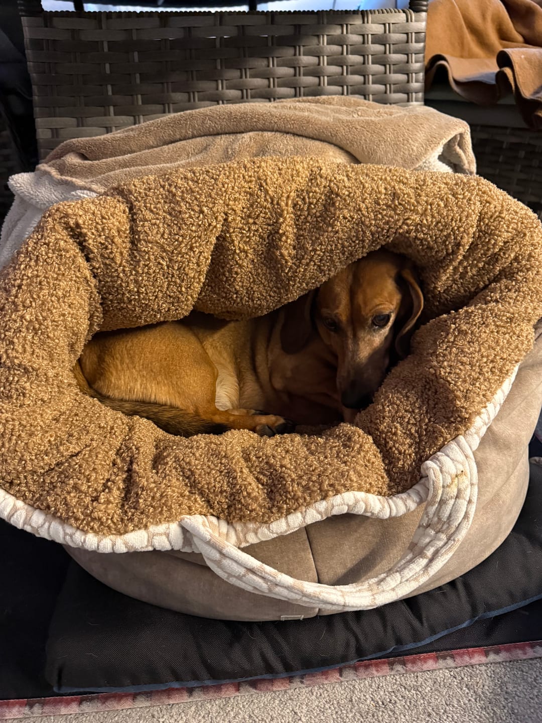 Customer photo review of Studio Nest Schlafsack