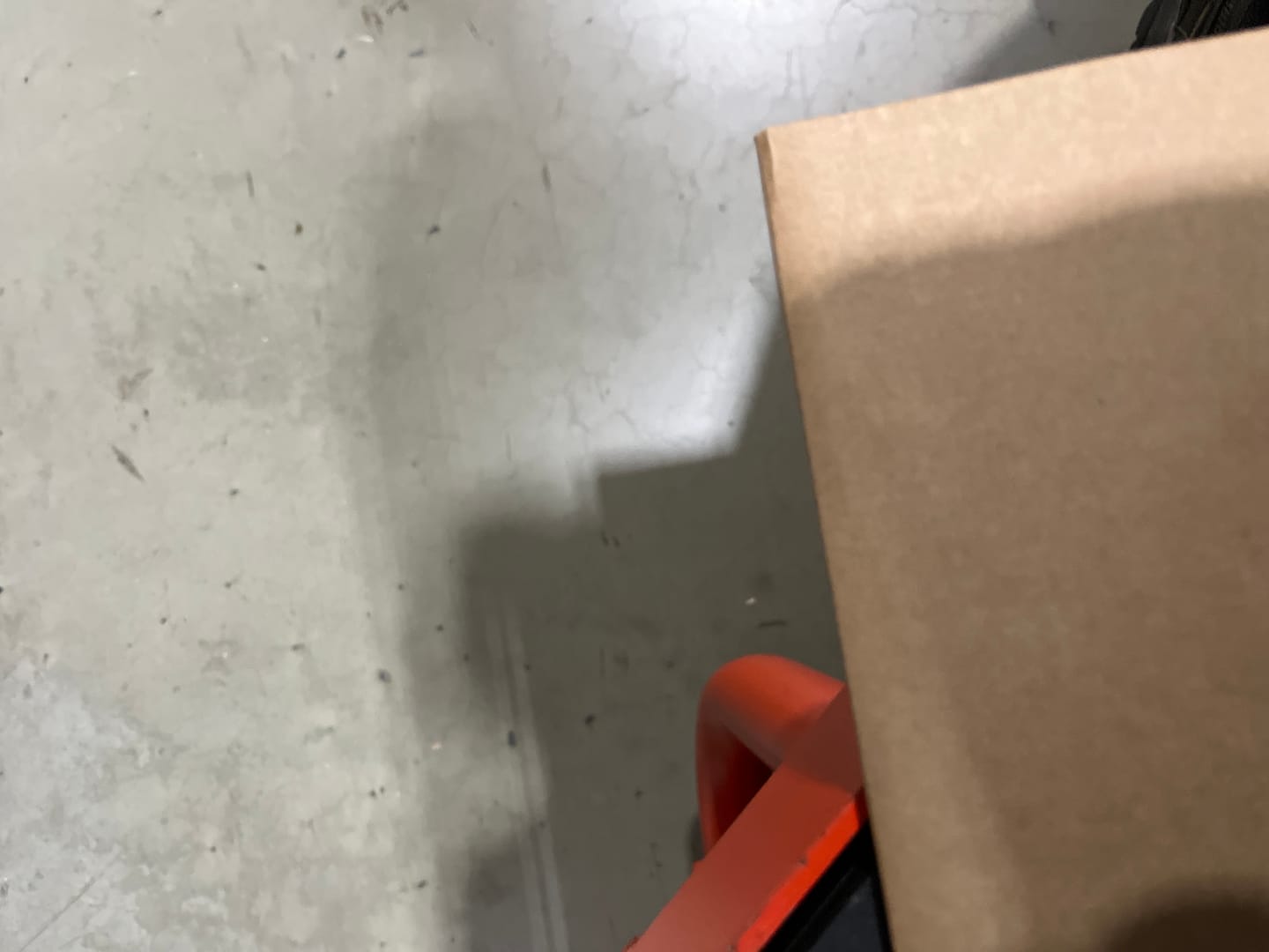 Customer photo review of Modal 0in Thong No Fly 3pk Green/Red/Blue