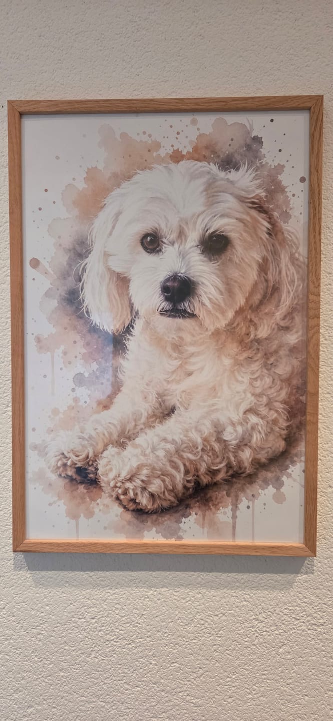 Customer photo review of Dein Haustier als Kunstwerk – mit Live-Vorschau, als Poster oder Leinwand
