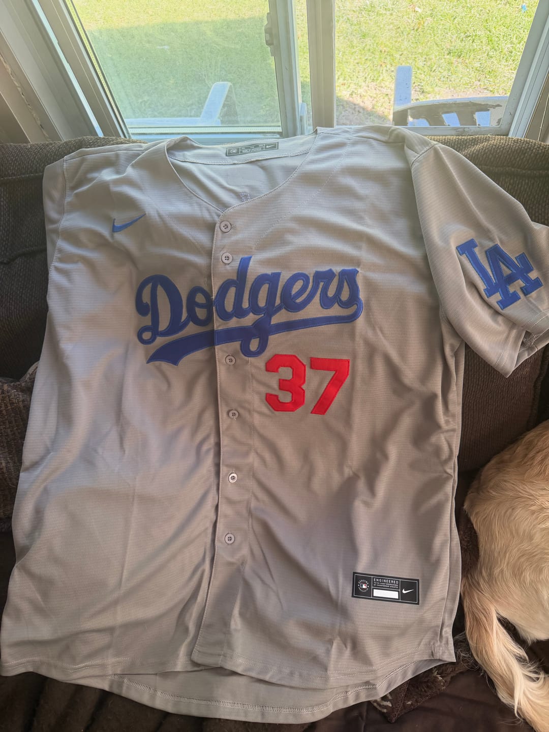 Customer photo review of Men's Los Angeles Dodgers Teoscar Hernandez #37 Gray Limited Player Jersey1