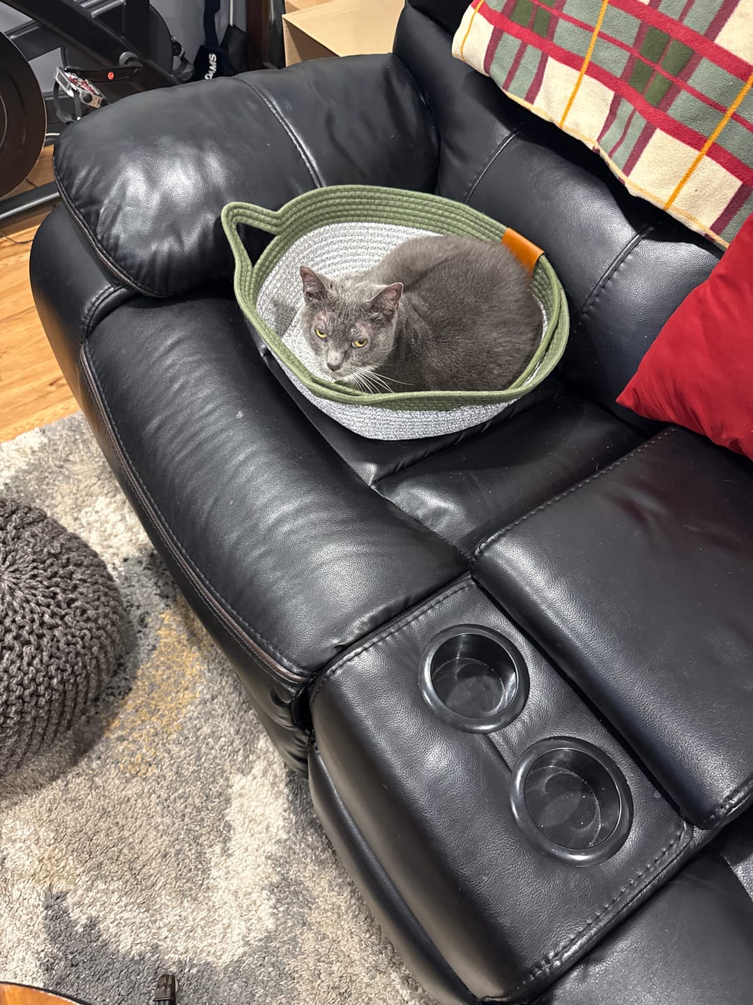 Customer photo review of Instinct Basket | Meet the first research-backed natural scratcher for indoor cats