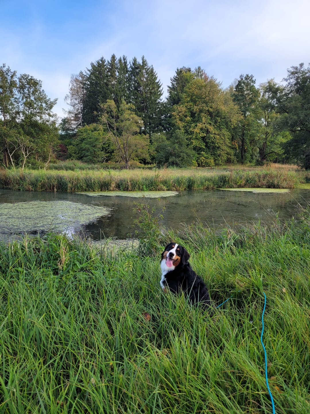 Customer photo review of Wurmtest Plus Hund