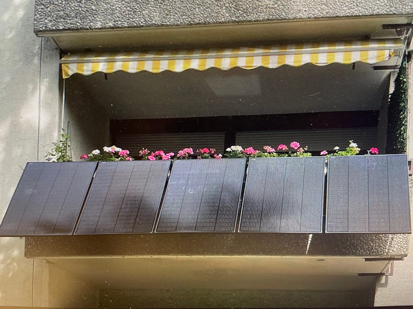 Customer photo review of 🎁 Ray 200W Solarmodul Komplett Schwarz (100% off)