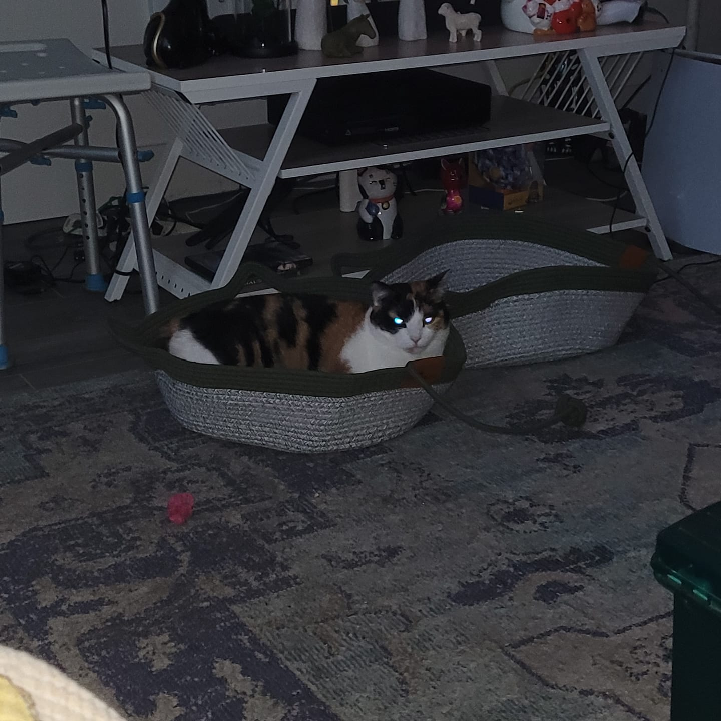 Customer photo review of Instinct Basket | Meet the first research-backed natural territory for indoor cats