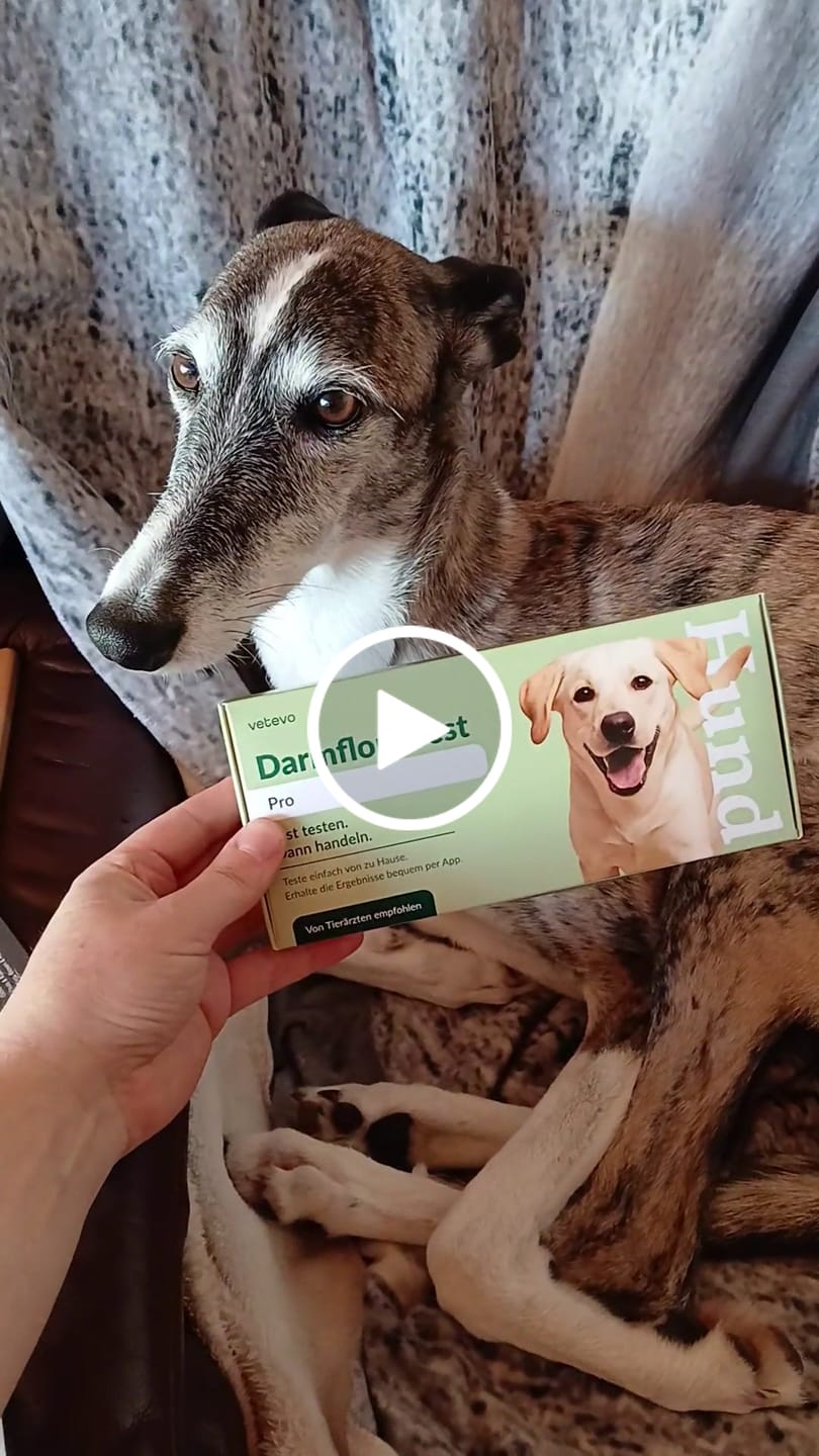 Customer video review of Darmflora Test Pro Hund