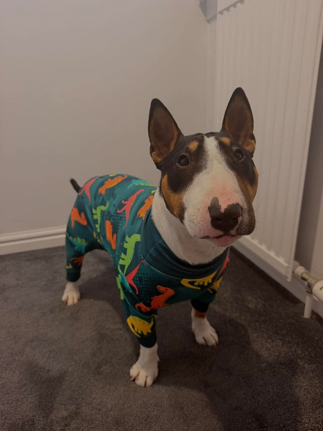 Customer photo review of Dog Pajama - Dinosaurs