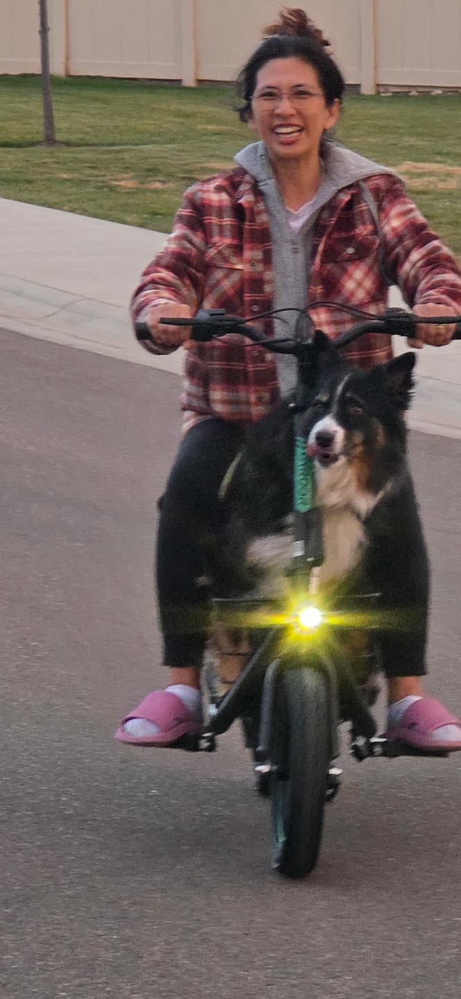 Customer photo review of Gyroor C1Plus 1000W Electric Scooter with Dual Baskets for Pets & Cargo