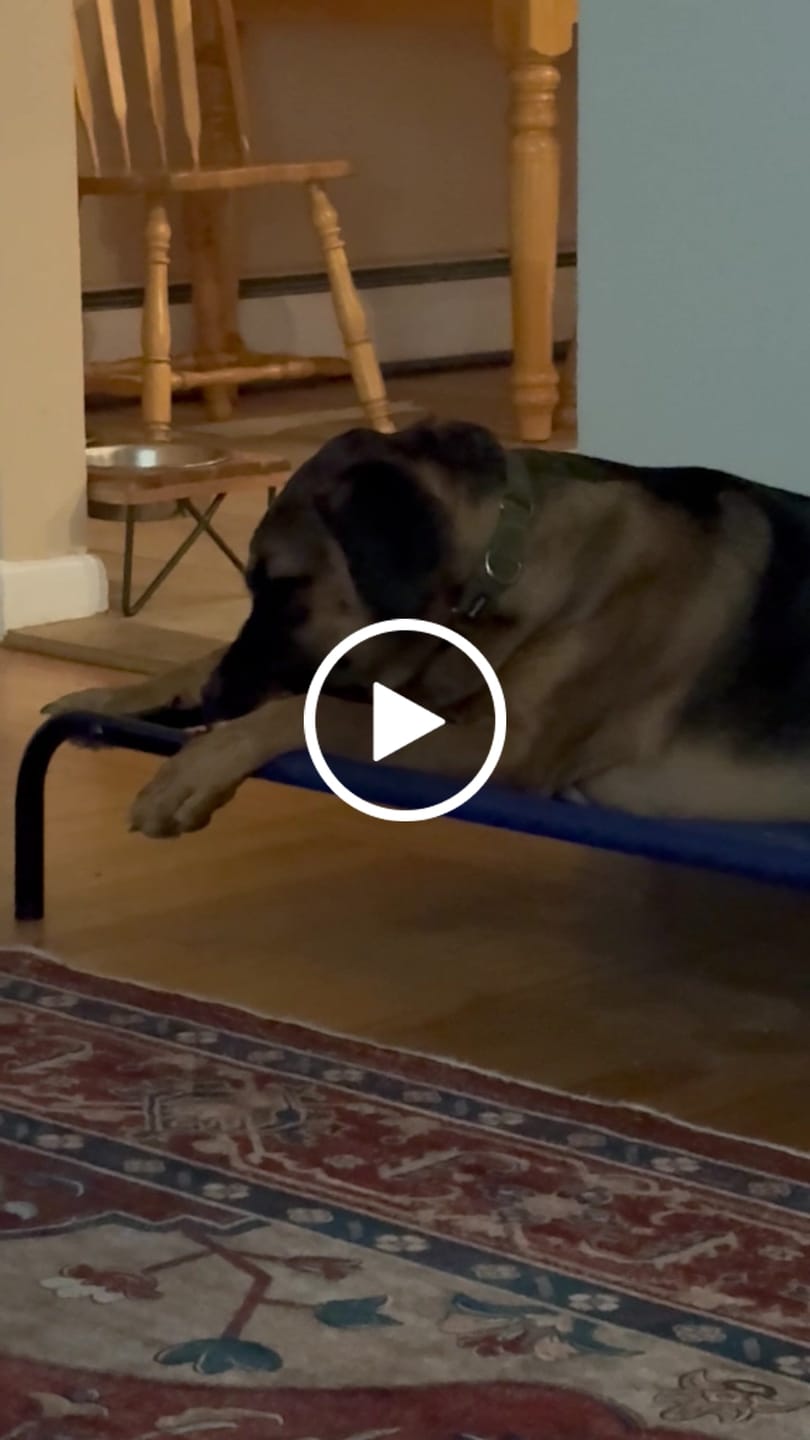 Customer video review of Super Bull Sticks