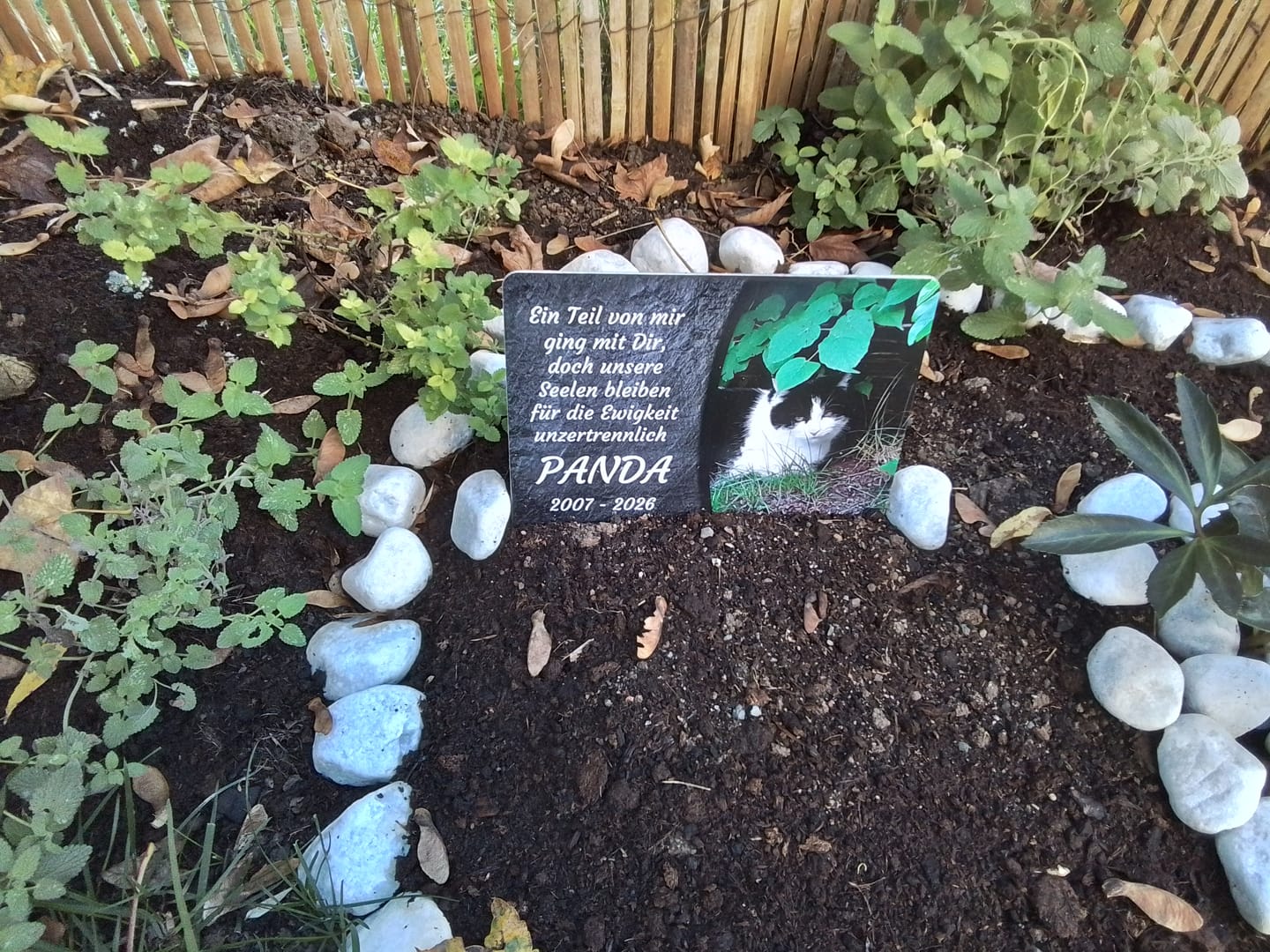 Customer photo review of Katzen Gedenktafel mit Foto & Spruch (UV- & Wetterfest)