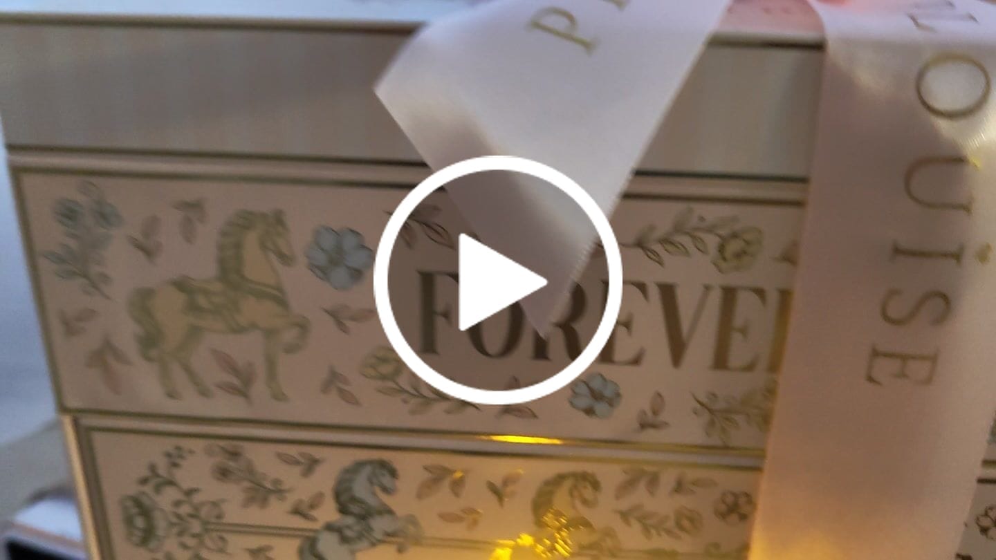 Customer video review of Forever Enchanted Christmas PR Box PRE-ORDER
