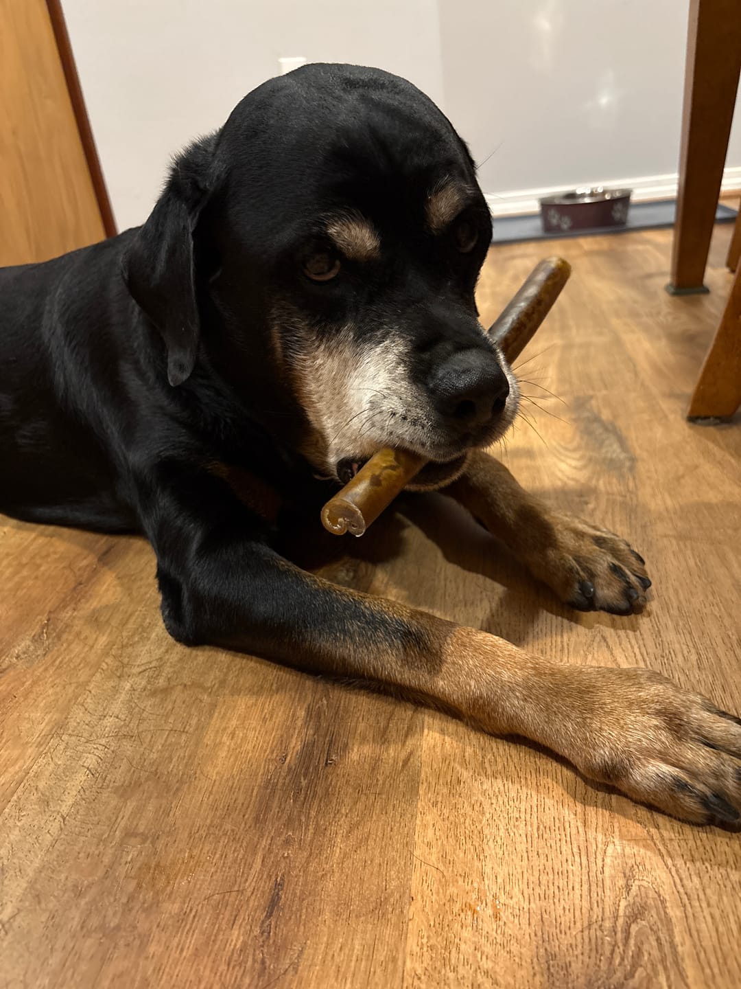 Customer photo review of Super Bull Sticks