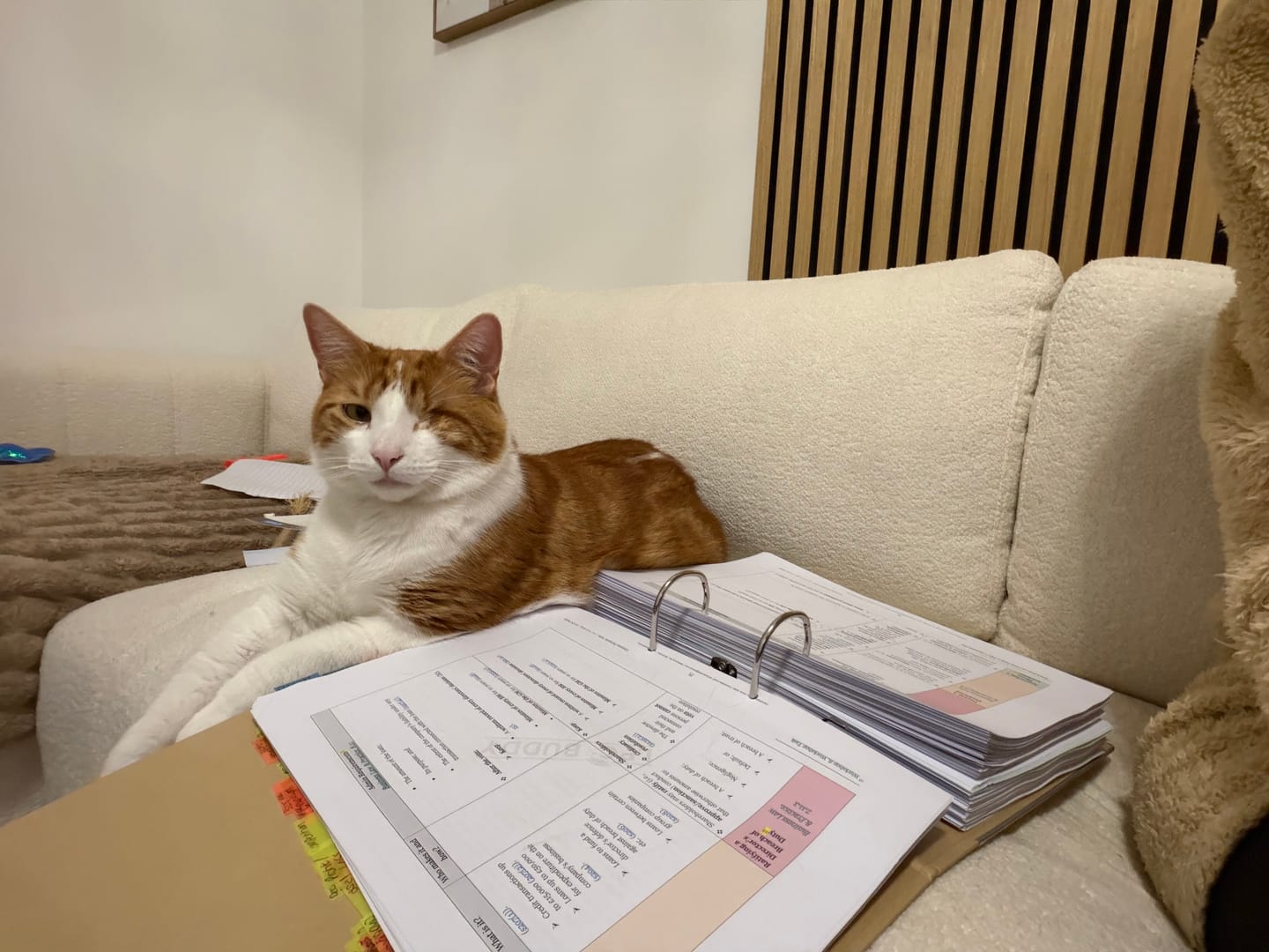 Customer photo review of LPC Buddy™ 2026 | Employment Law | Distinction Level Study Guide for the LPC (Electronic)