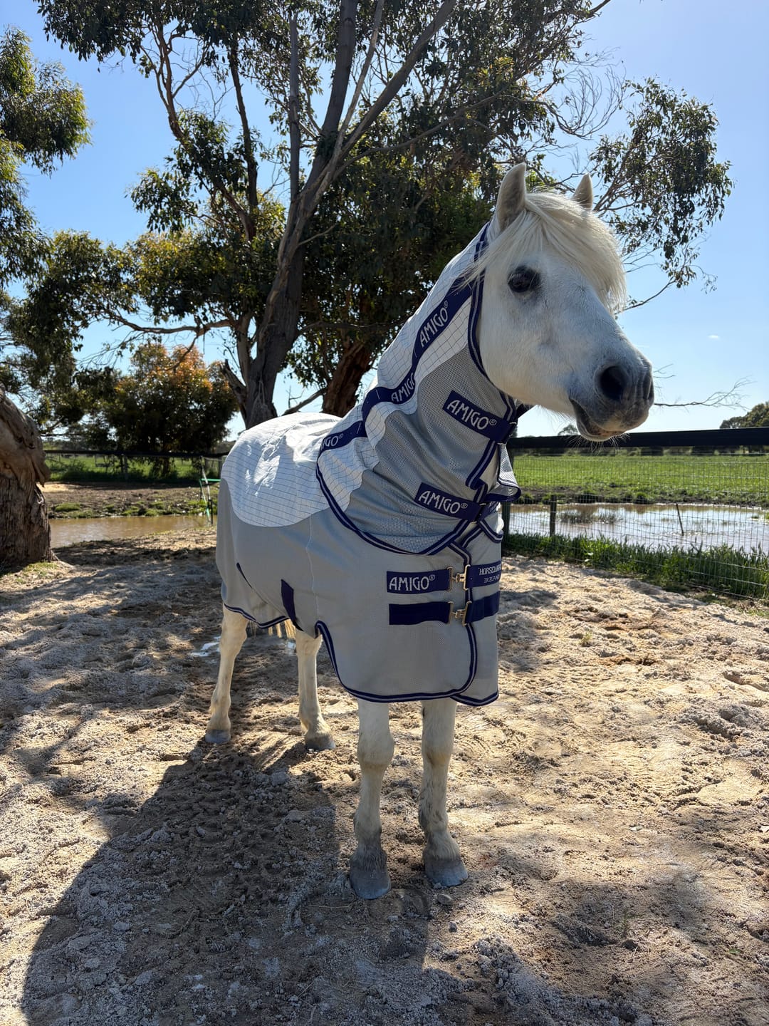Customer photo review of Amigo Airflow