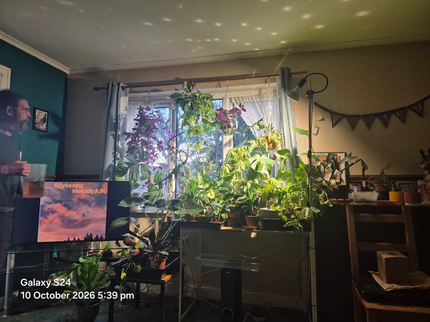 Customer photo review of Pianta 30 Grow Light LED Bulb