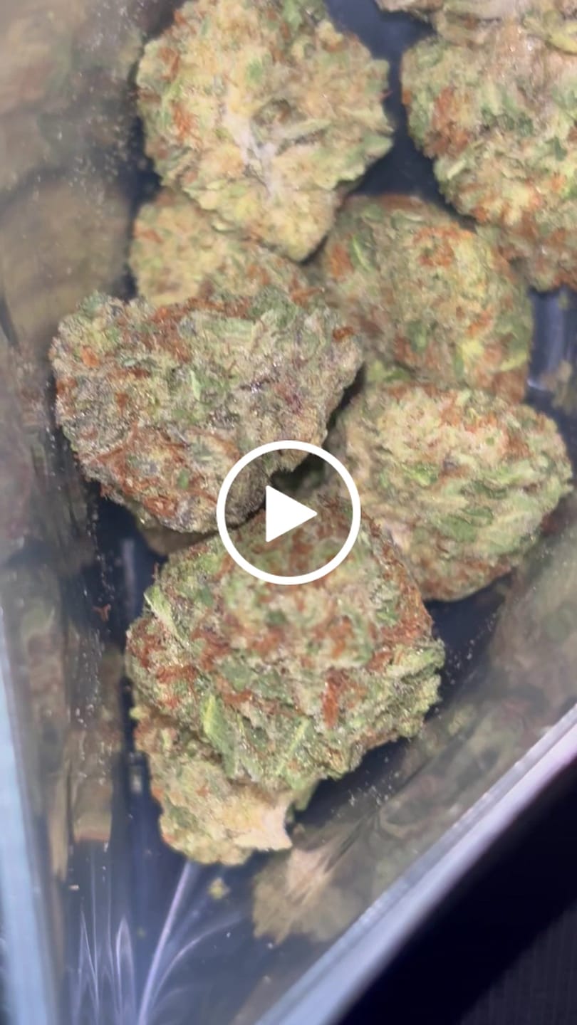 Customer video review of Orange Dream THCA Flower