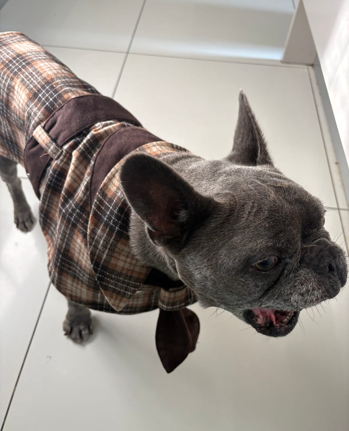 Customer photo review of Sherlock Warm Plaid Jacket --Brown/Beige