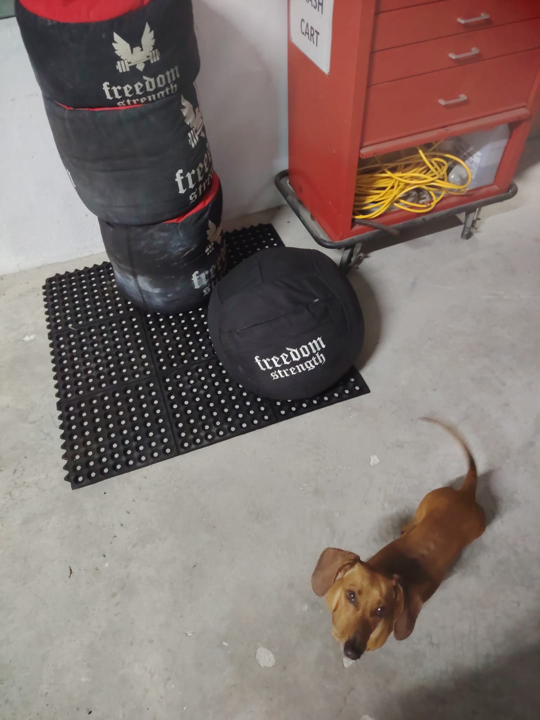 Customer photo review of Atlas Sandbag