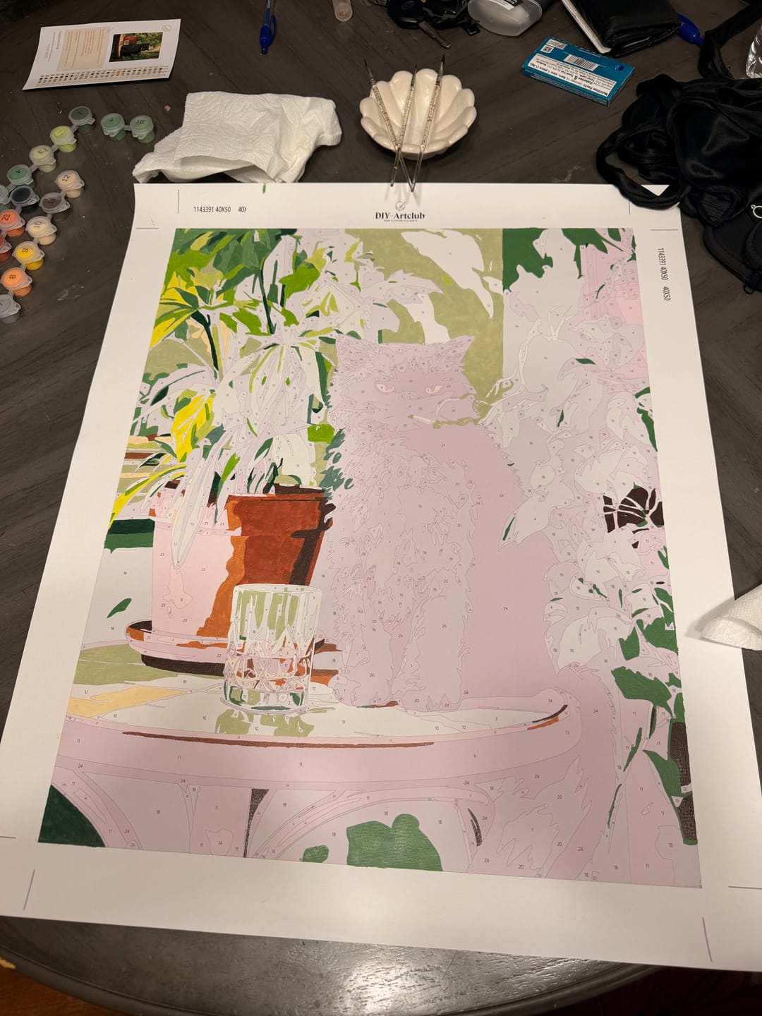 Customer photo review of Grumpy cat | Paint by Number
