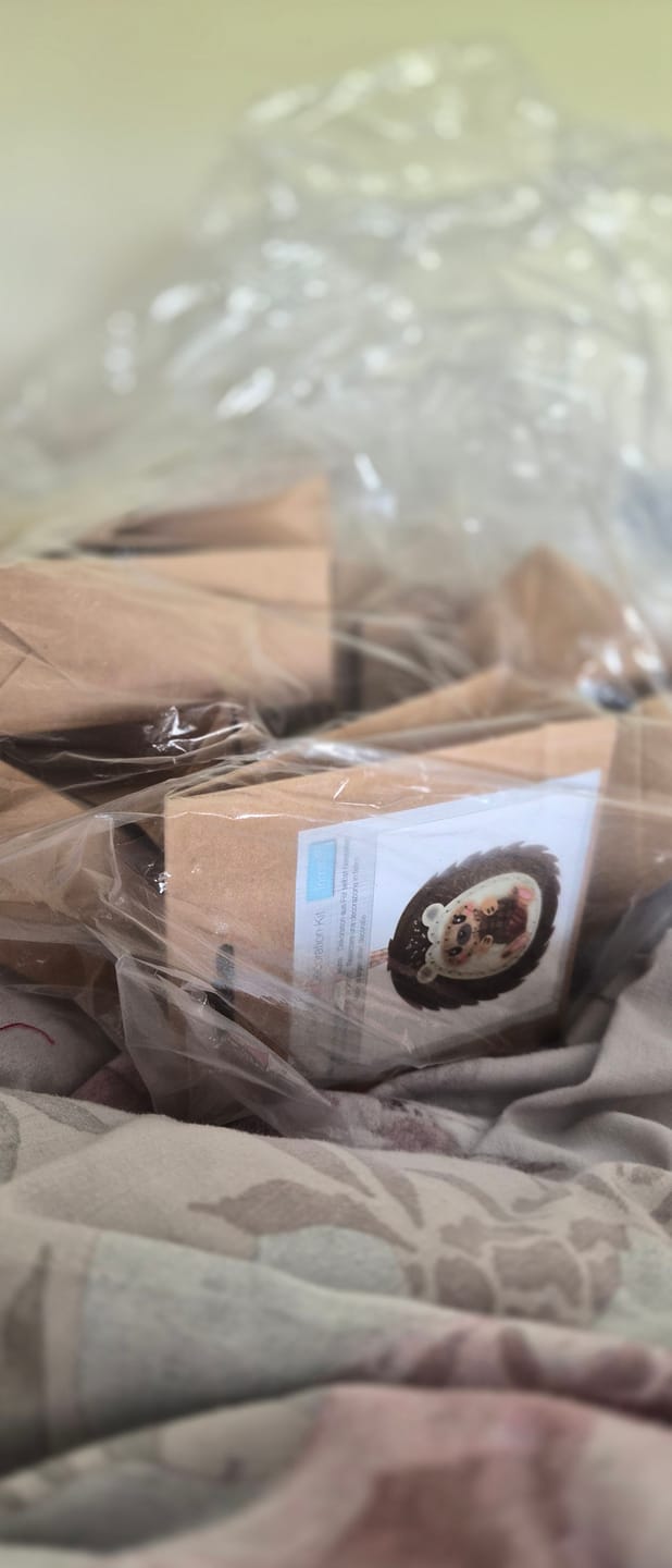 Customer photo review of Trimits Felt Decoration Kit