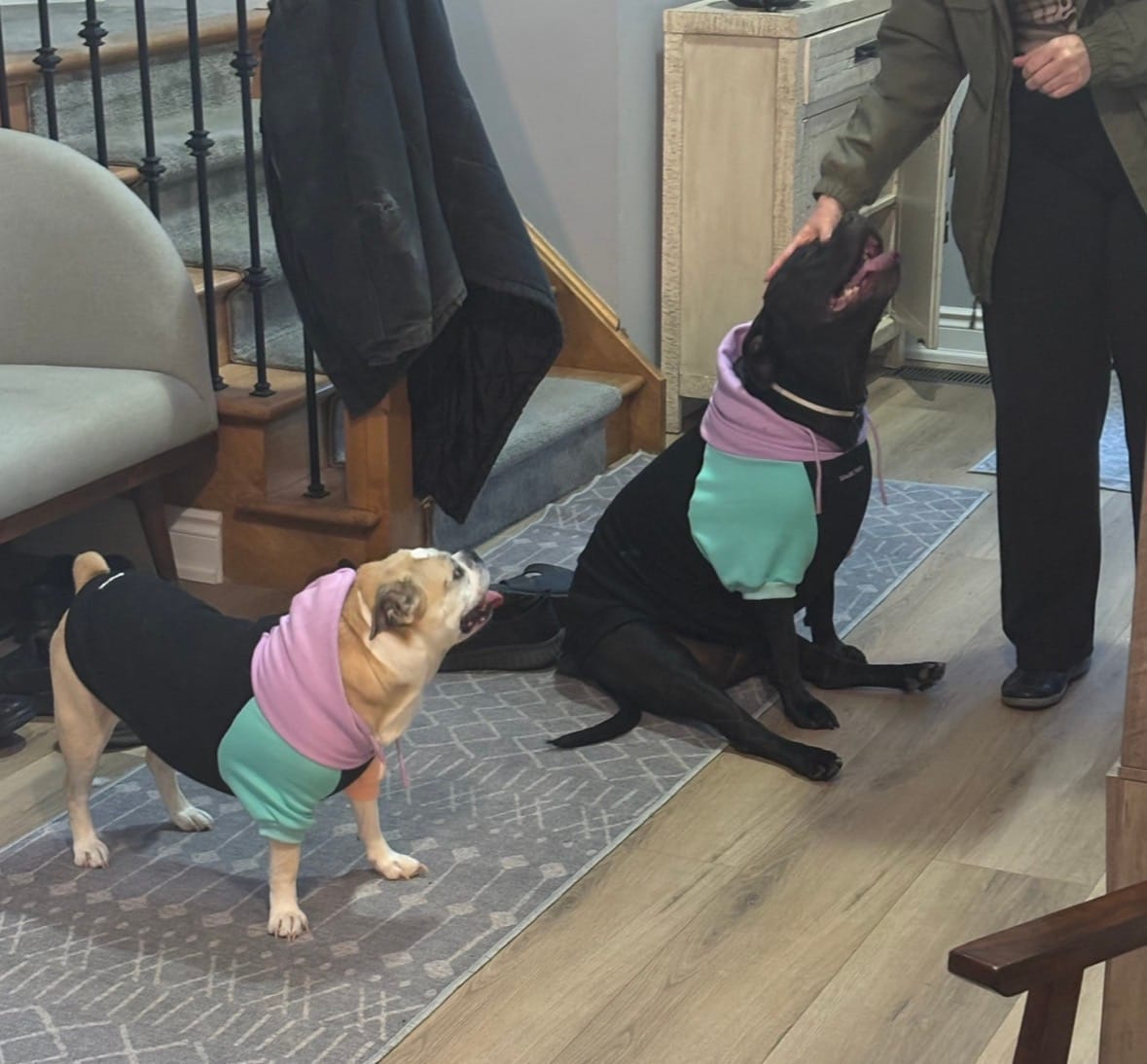 Customer photo review of Cyber Punk Dog Hoodie