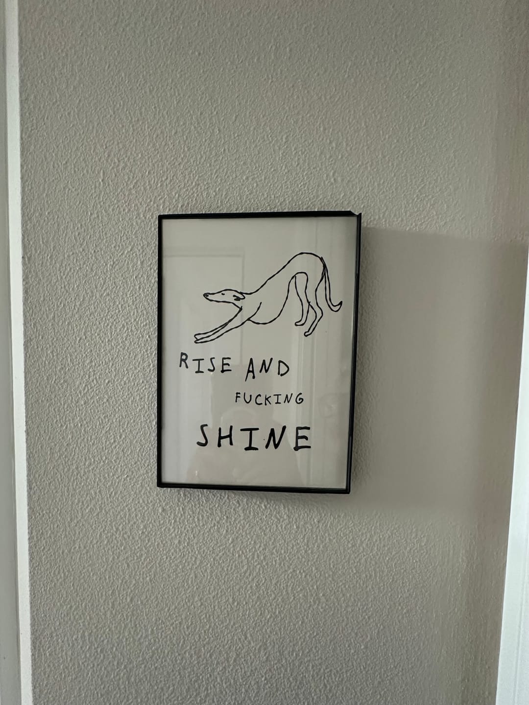 Customer photo review of Greyhound Rise and Shine Print