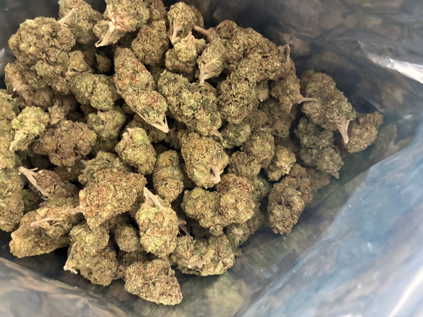 Customer photo review of Papaya Runtz THCA Flower