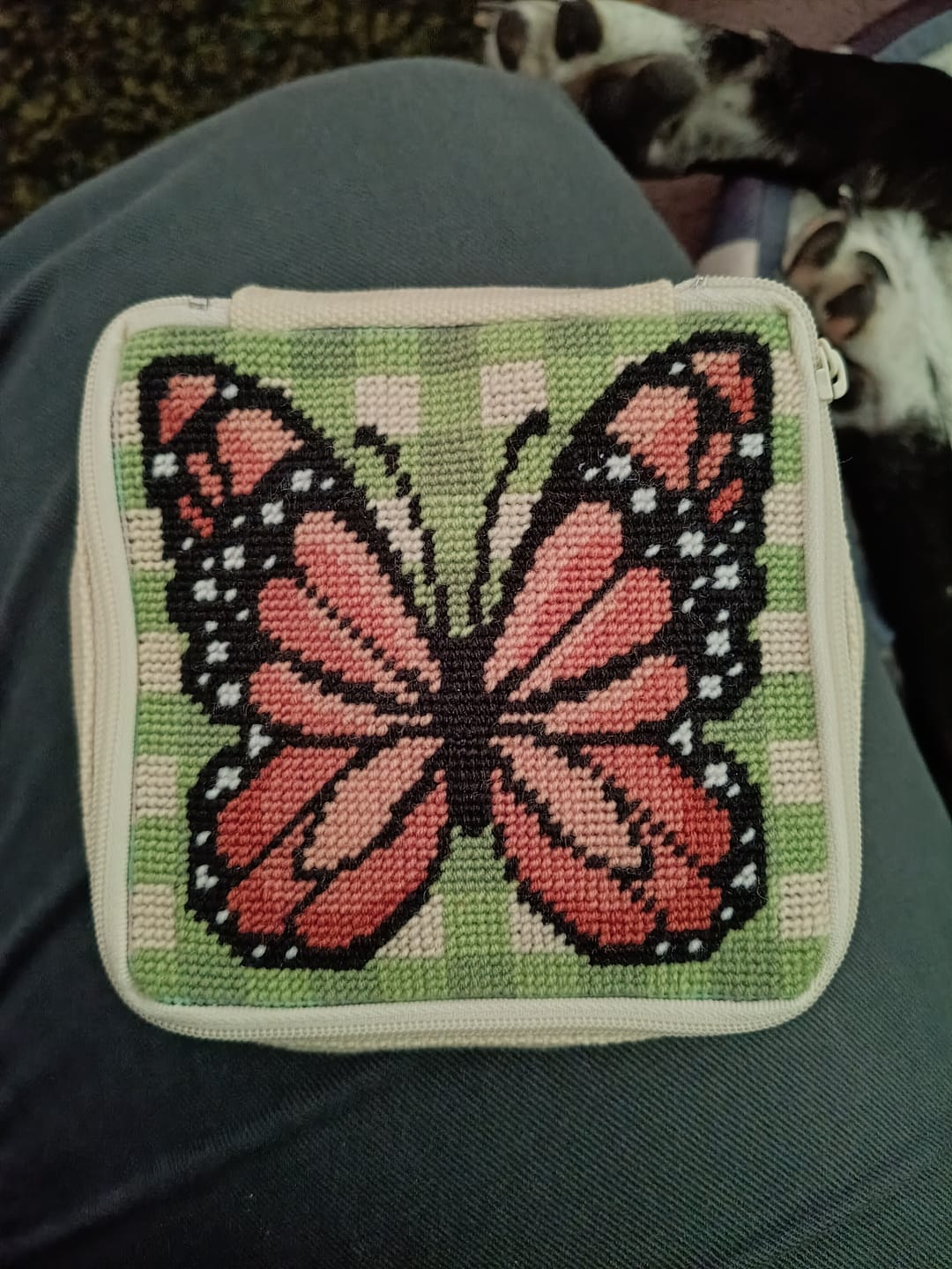 Customer photo review of GINGHAM BUTTERFLY - Needlepoint Pouch Kit
