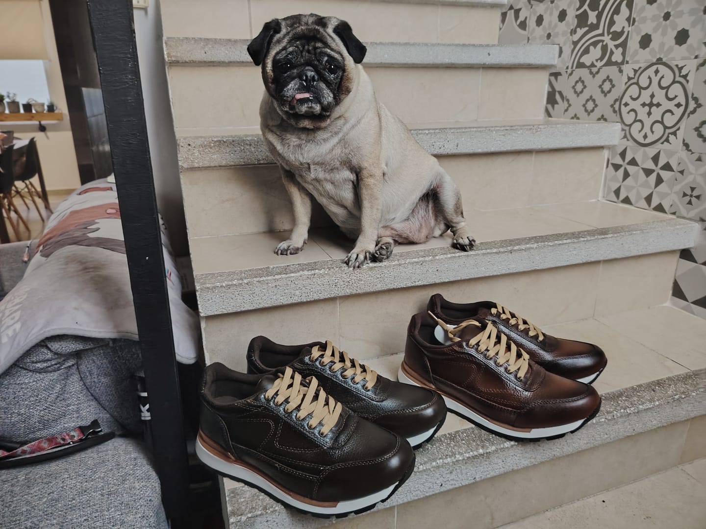 Customer photo review of Combo Toronto: 2x$1,299