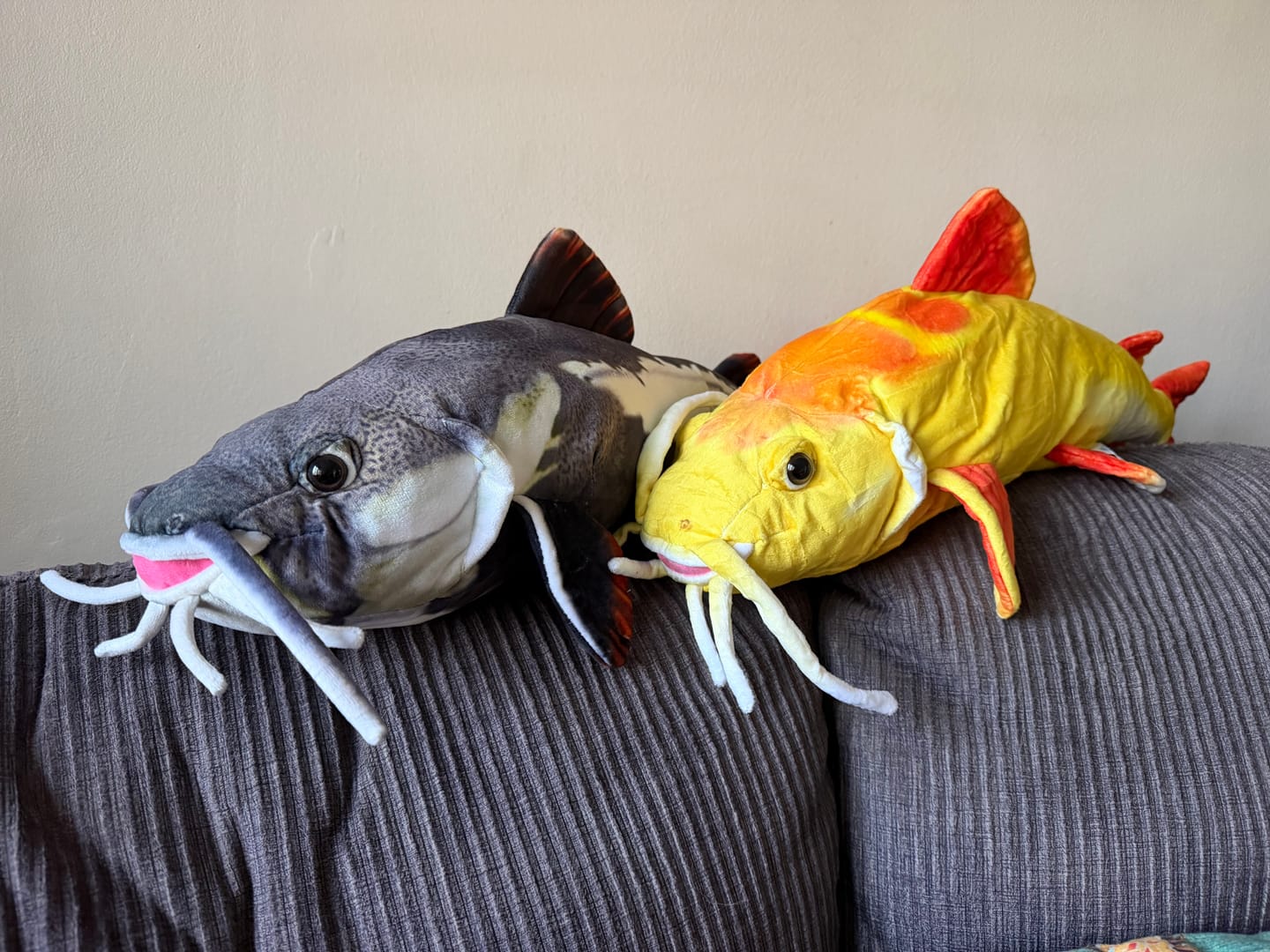 Customer photo review of Golden Redtail Catfish Soft Stuffed Plush Toy
