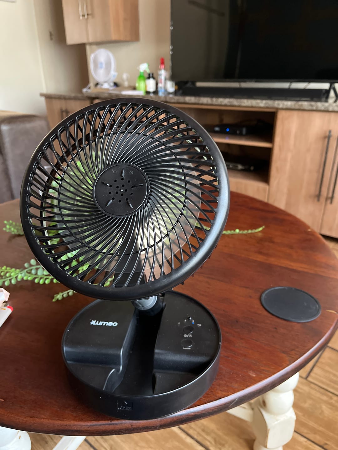 Customer photo review of Lumeo Smart Fan