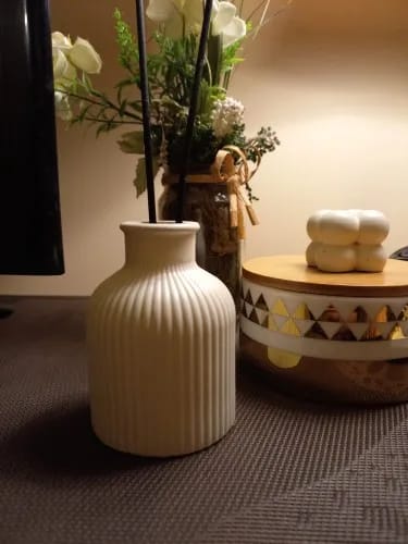Customer photo review of Minimalist White Ceramic Vase