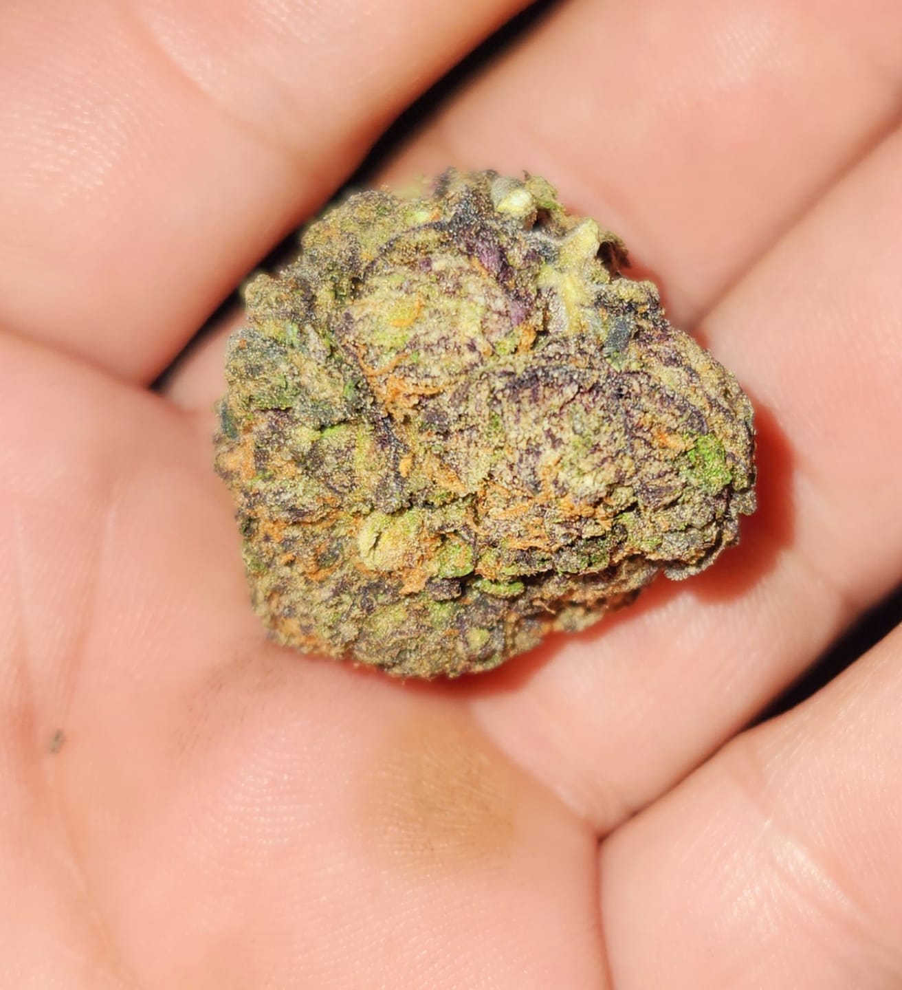 Customer photo review of Green Jolly Rancher | Private Reserve | Hybrid