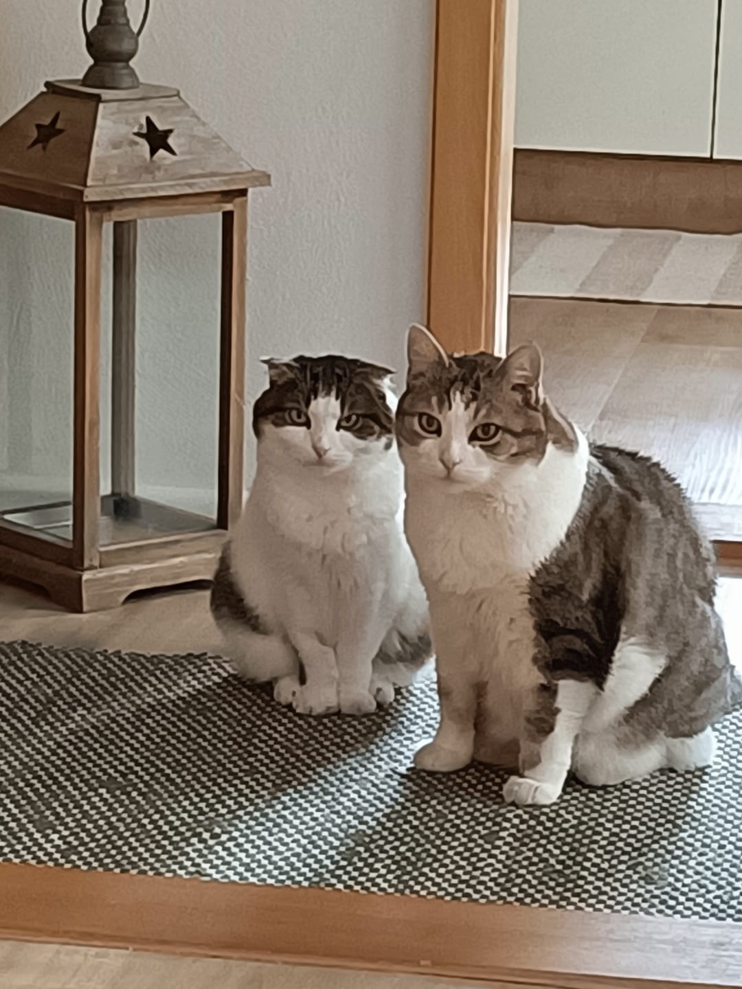 Customer photo review of Katzenklo Schaufel