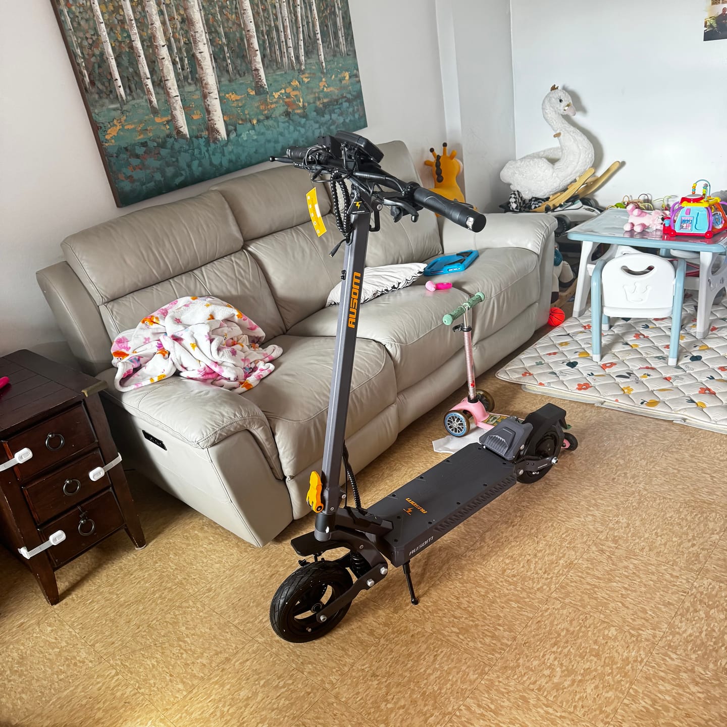 Customer photo review of Ausom Gosoul 2 Electric Scooter