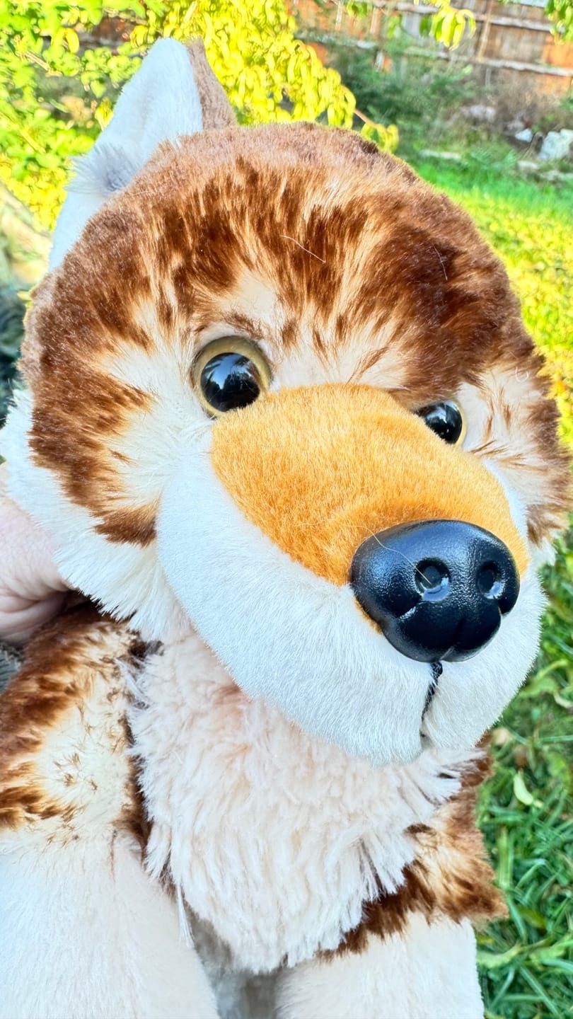 Customer photo review of The Scout Plush