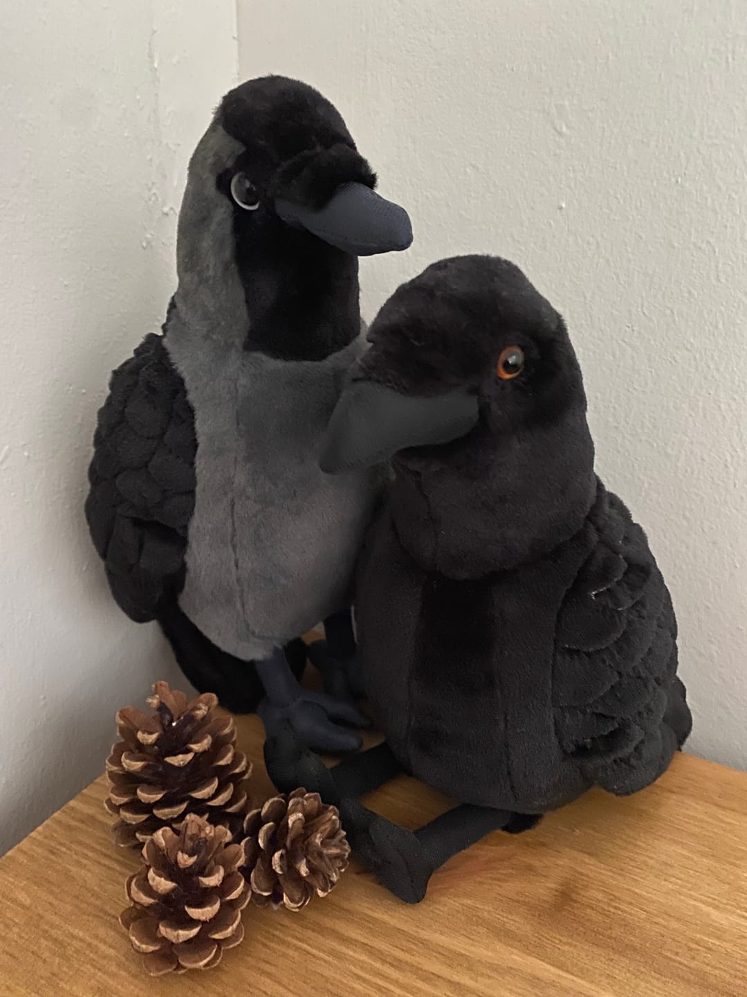 Customer photo review of Western Jackdaw Crow Soft Stuffed Plush Toy