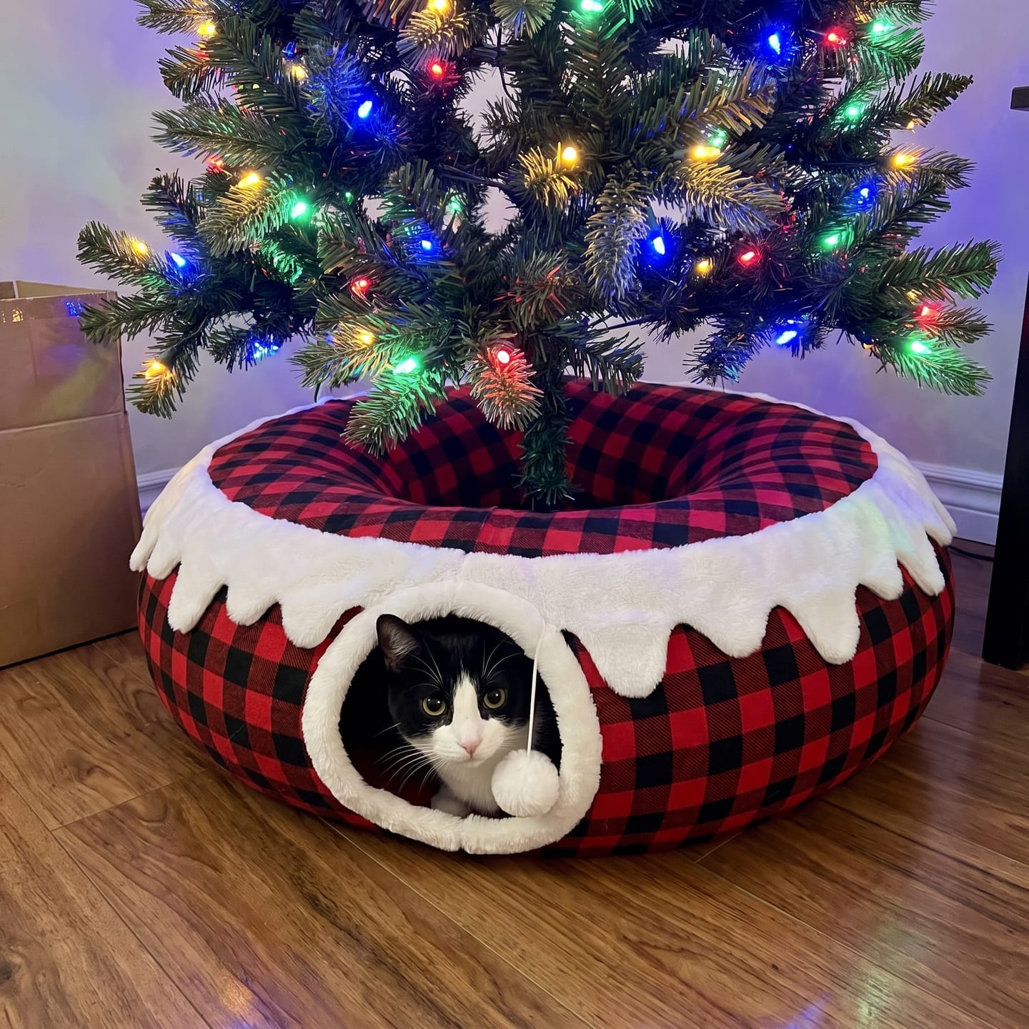 Customer photo review of Cama Túnel para Gato Navidad