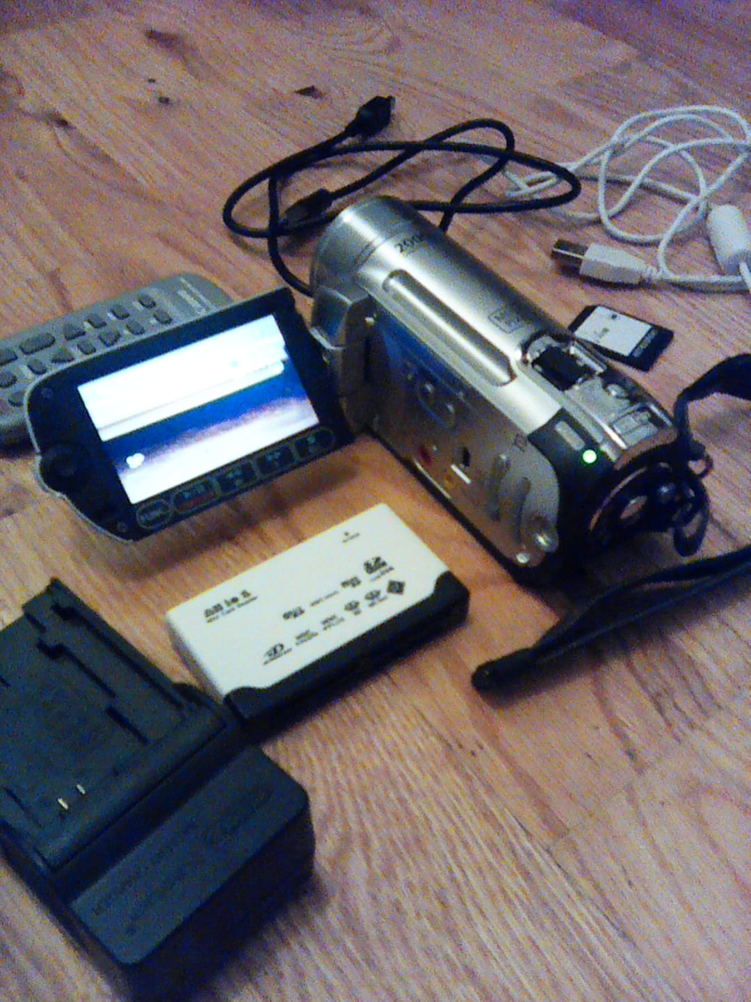 Customer photo review of Canon FS10 Digital Video Camcorder