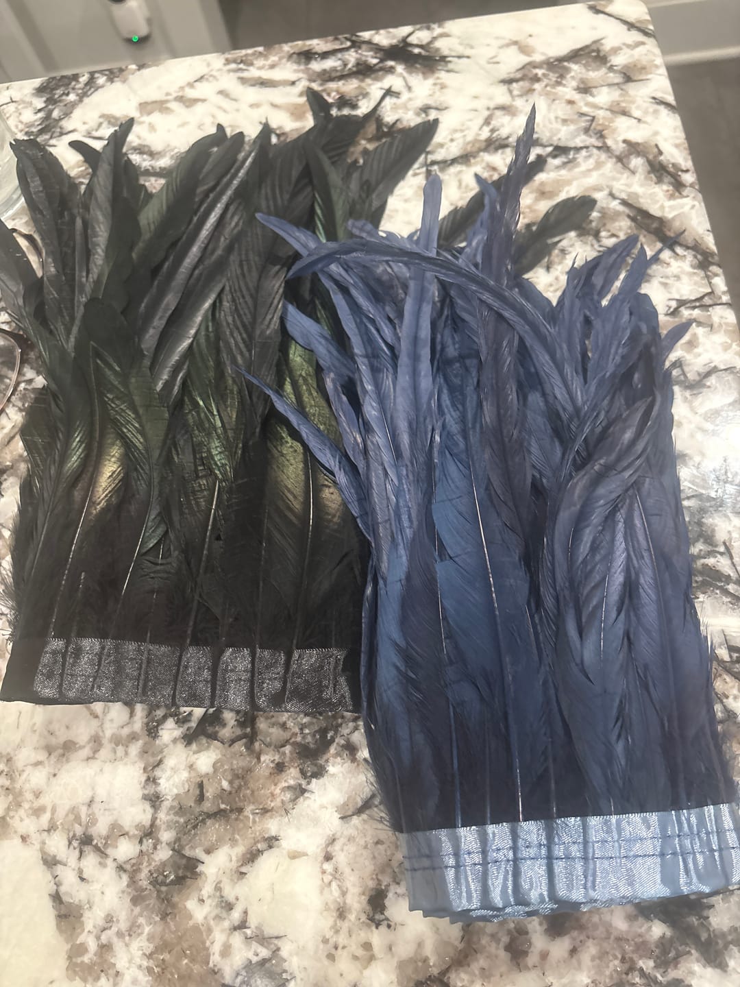 Customer photo review of Strung Coque Tail Feather