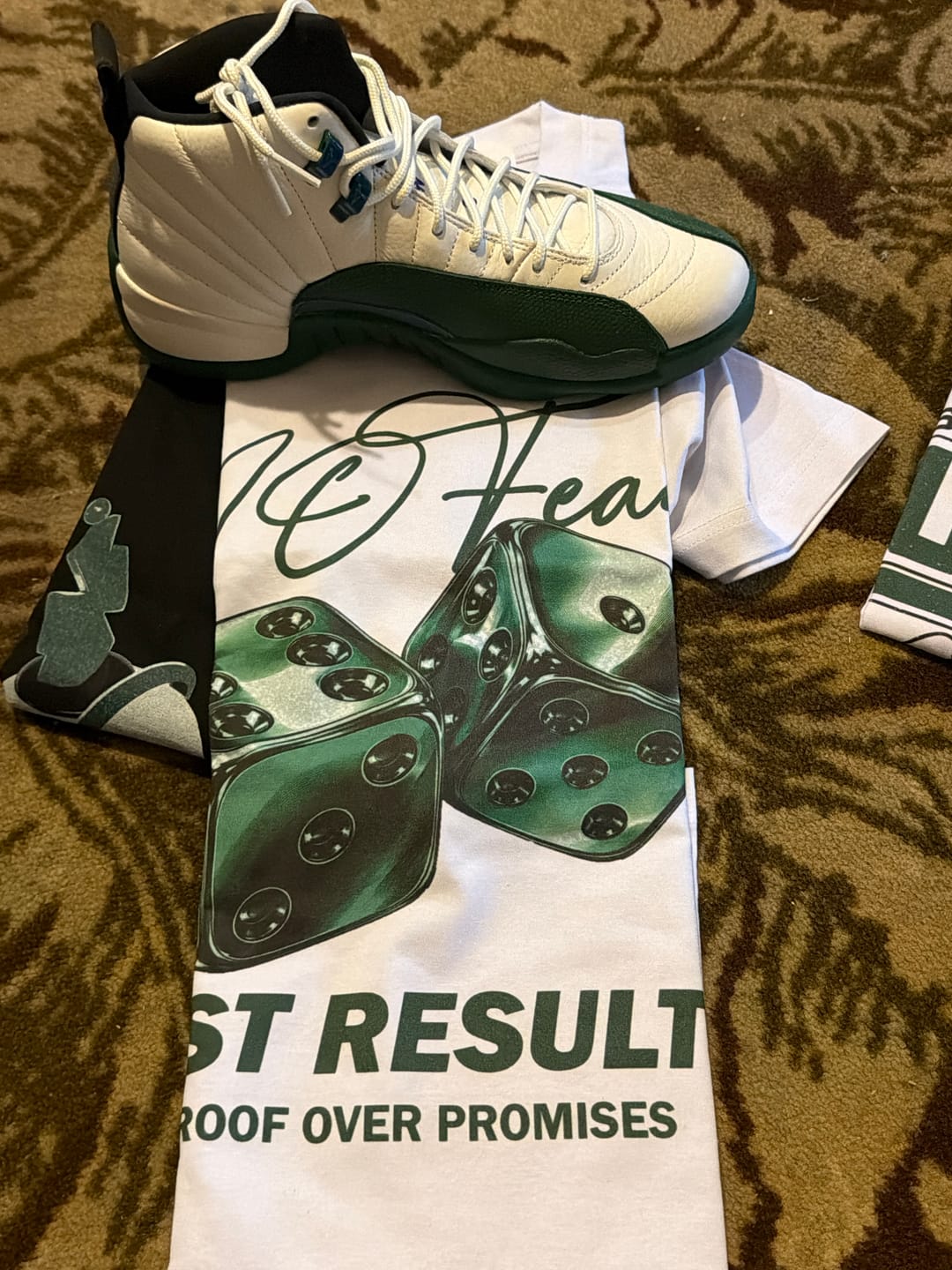 Customer photo review of No Fear Air Jordan 12 Summit Green Matching Graphic Tee