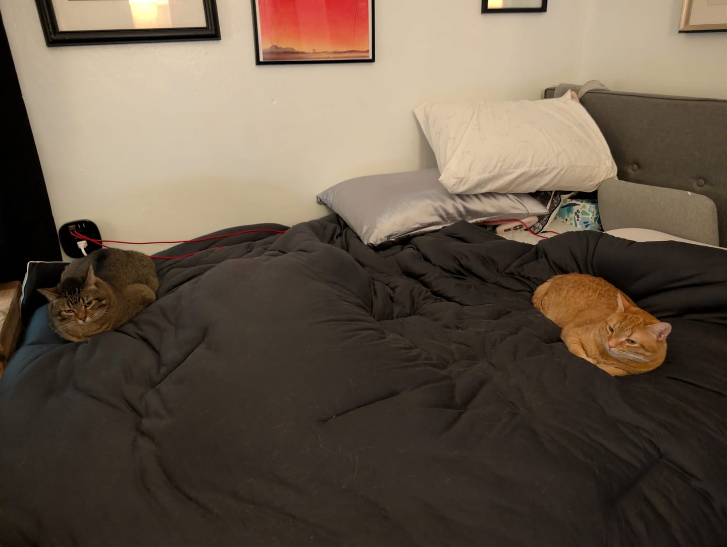 Customer photo review of MarshMellow Comforter