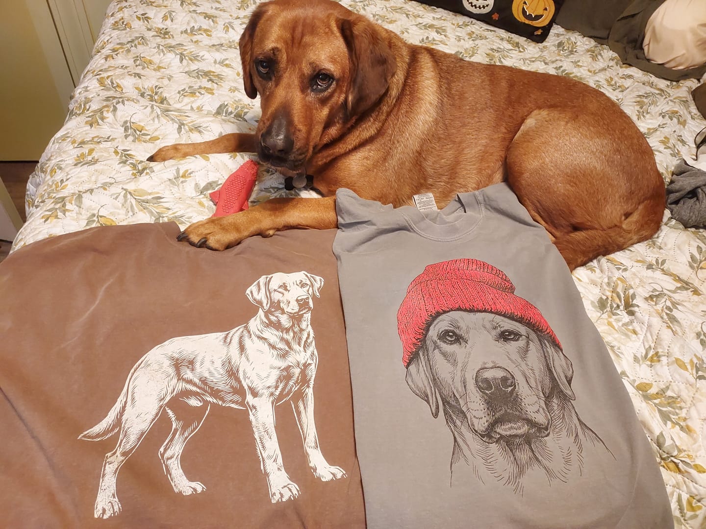 Customer photo review of Labrador Premium Tee